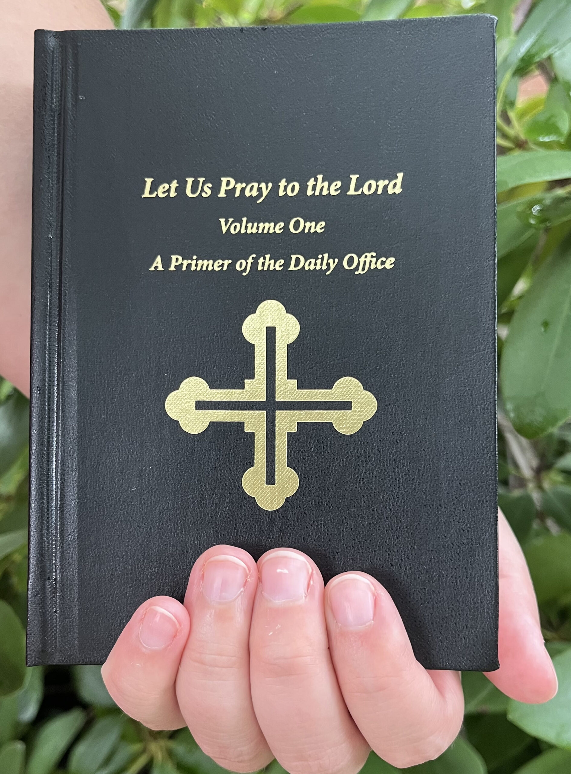 Let Us Pray to the Lord - A Primer for the Daily Office (Volume I)