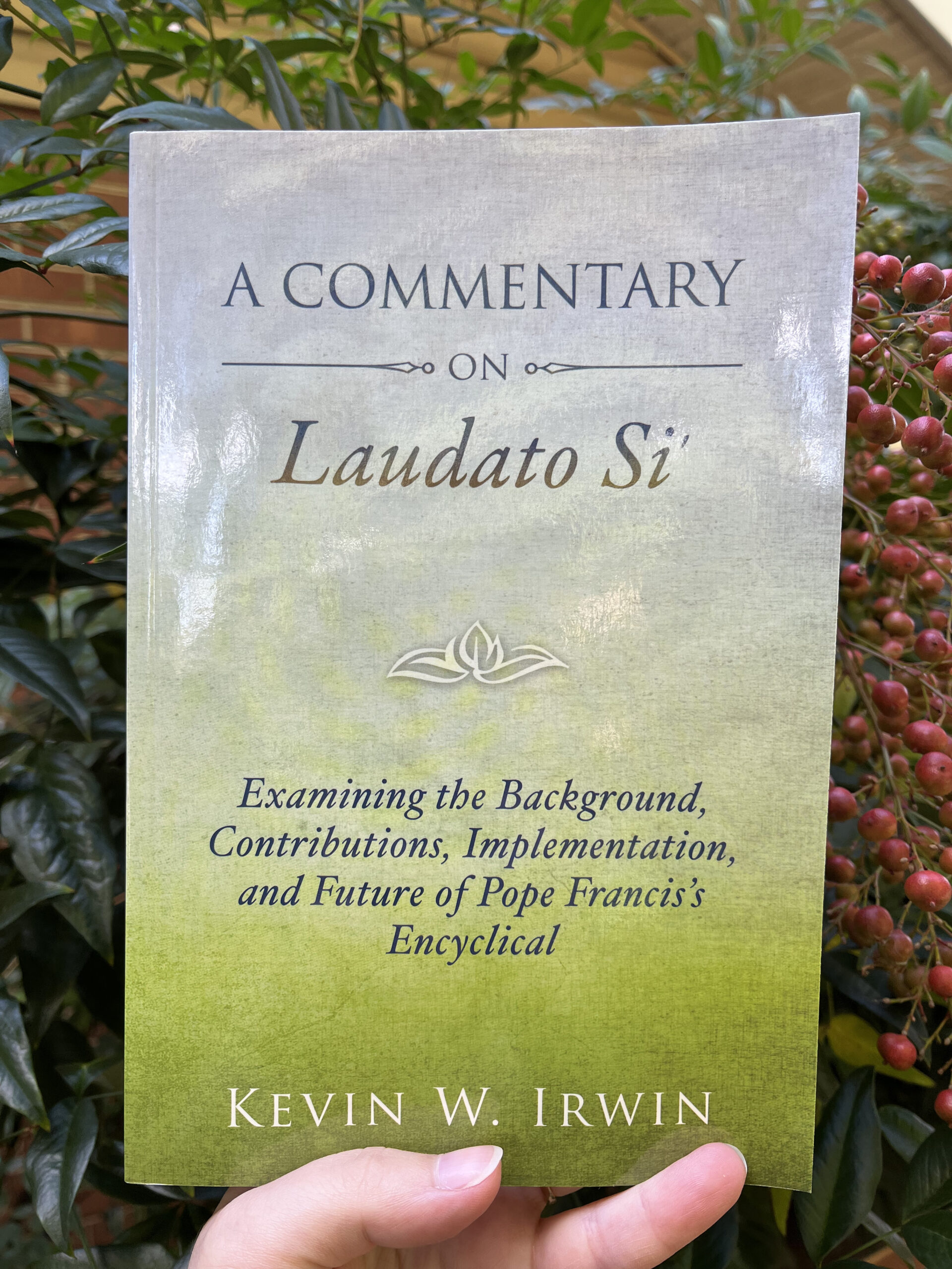 Commentary on Laudato Si