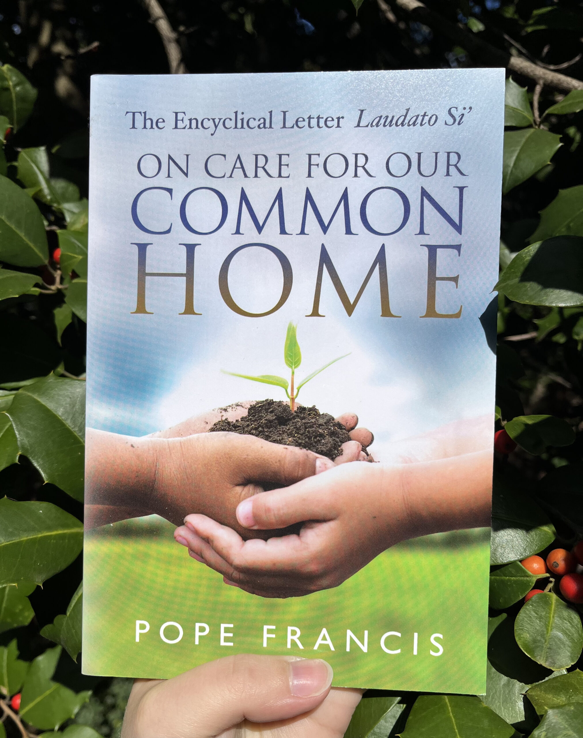 On Care for Our Common Home (Laudato Si)